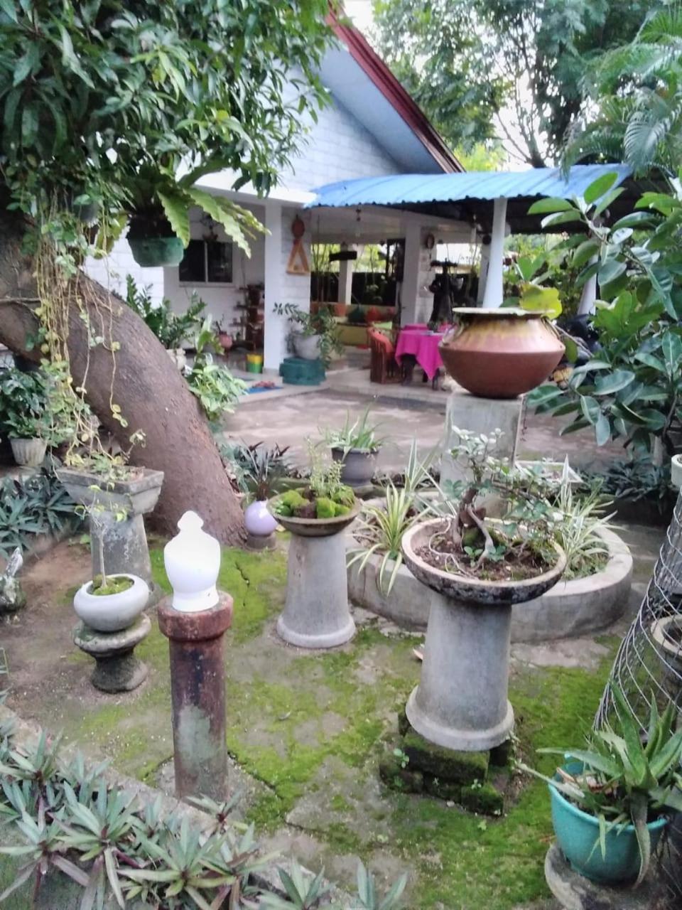Rock Cascade Tourist Home & Cookery School Полоннарува Экстерьер фото
